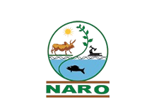 image removebg preview 2 1