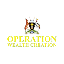 image removebg preview 2